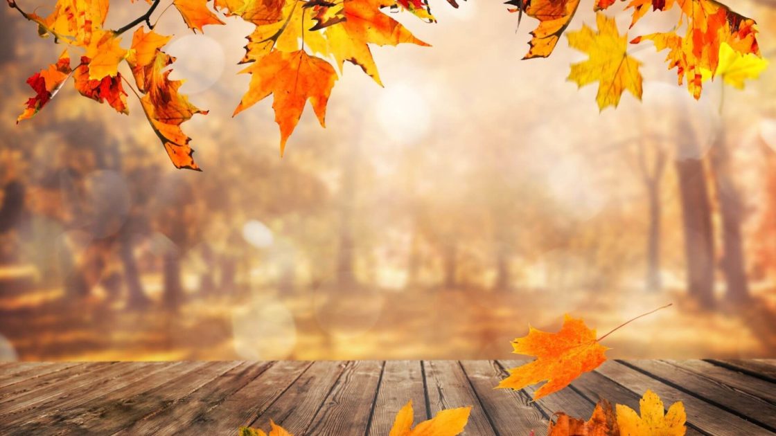 Autumn-Ballyroe-Heights