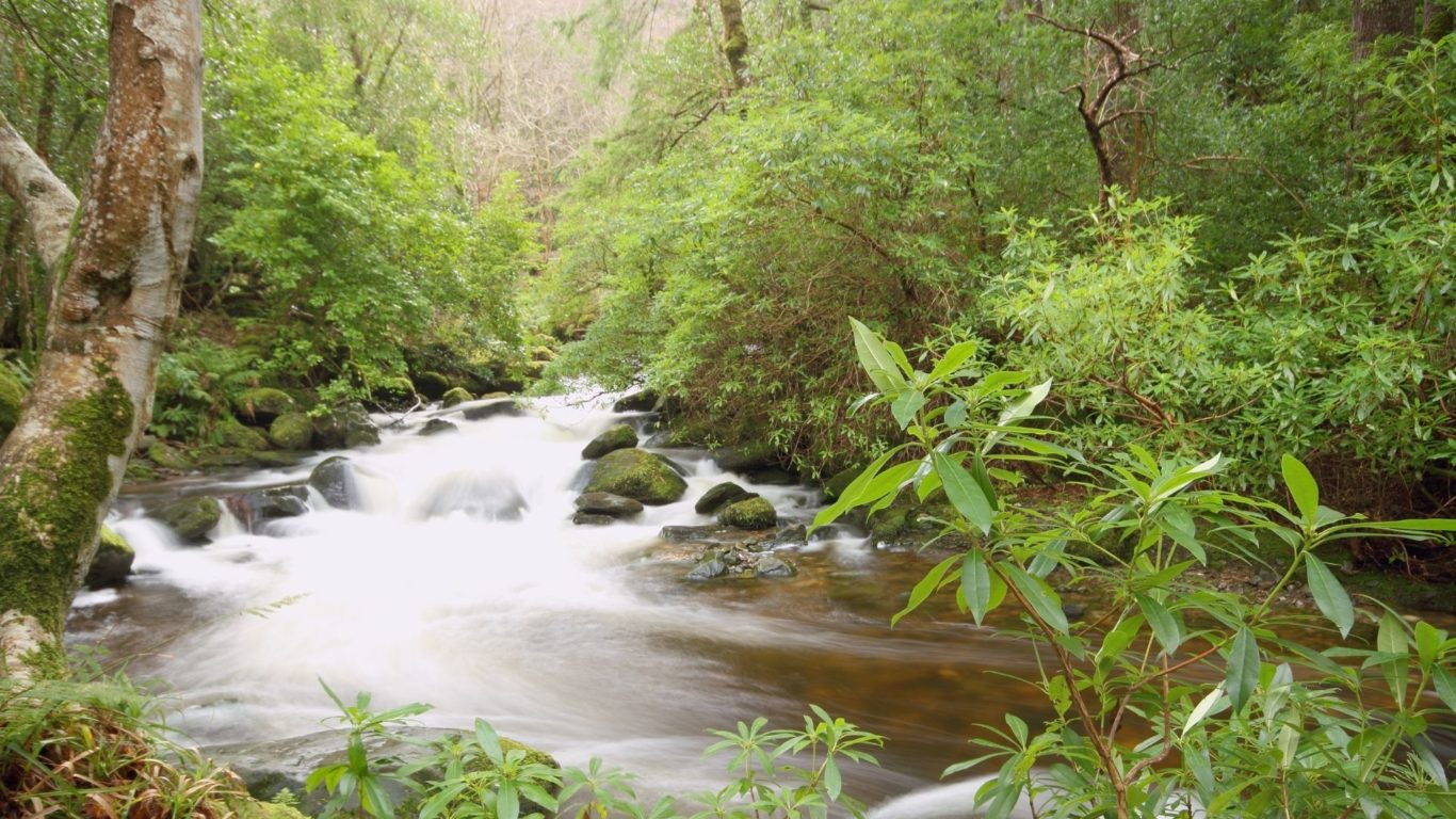 fishing locations in kerry
