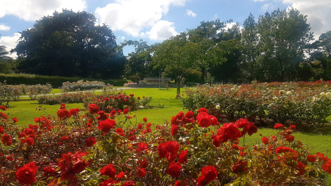 Tralee Town Park