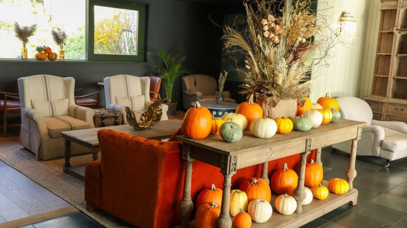 Reception and Lobby Ballyroe Lodge